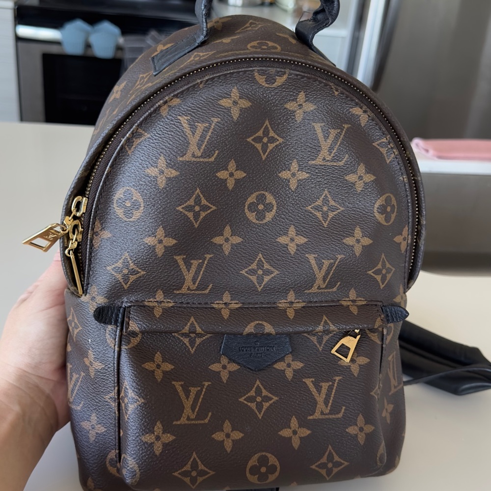 Louis Vuitton palm spring bag pack PM
